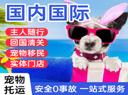 长白山机场空运国际宠物托运 【国